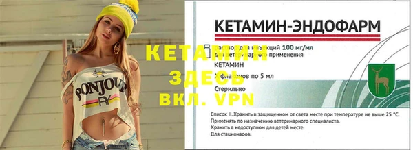 PSILOCYBIN Гусиноозёрск