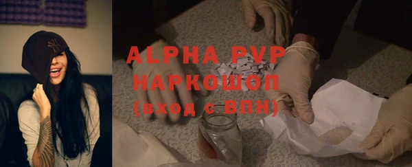 СК Гусь-Хрустальный