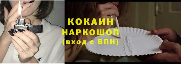 СК Гусь-Хрустальный