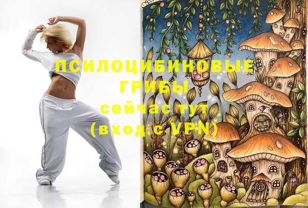 соль ск Гусев