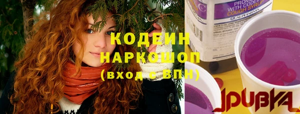 СК Гусь-Хрустальный