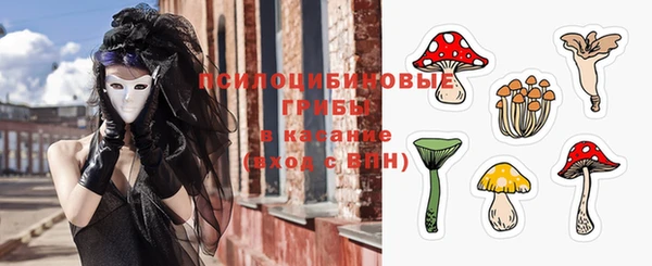 PSILOCYBIN Гусиноозёрск